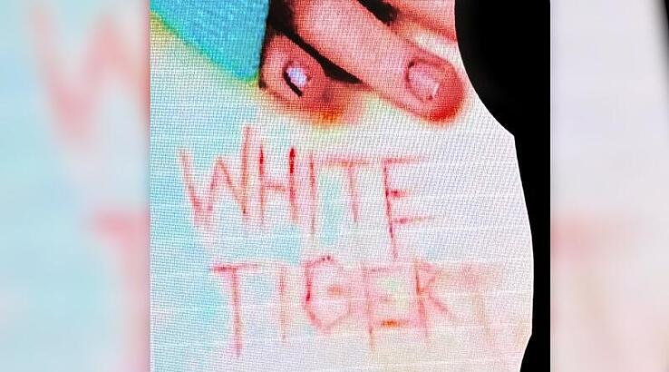 „Die Schilderungen sind unerträglich“